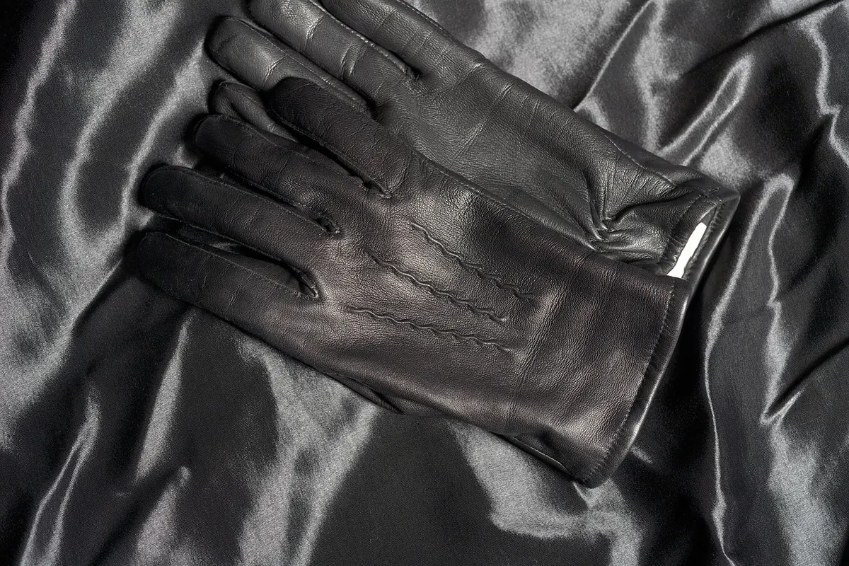 Choosing Your First Falconry Glove: Leather, Fit and Safety Compared